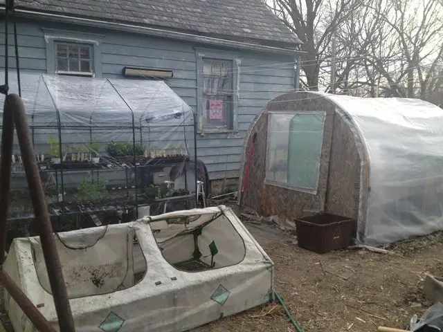 This is the view from the side doorway of the large greenhouse. You can see a small coldframe, a larger coldframe and the rear of the heated greenhouse. The brown container is used for compost.