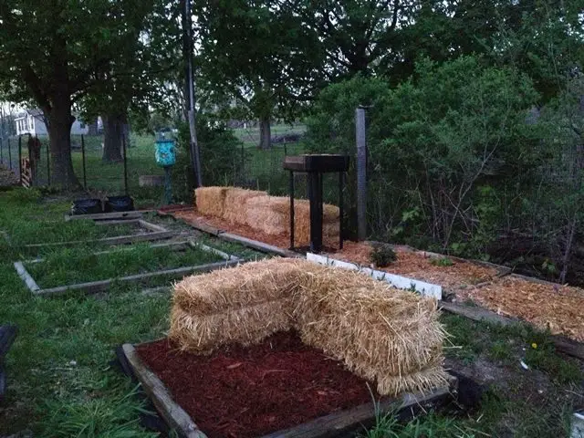 This front bed has two straw bales in it that I will grow plants in. The rest of the raised bed is filled 1/2 of the way with soil and compost and 1/2 of the way with mulch. I have several varieties of herbs growing in this mixture right now and they are doing very well.