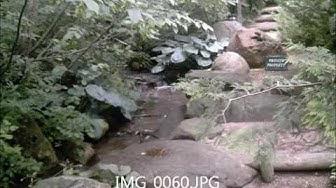 Humix video