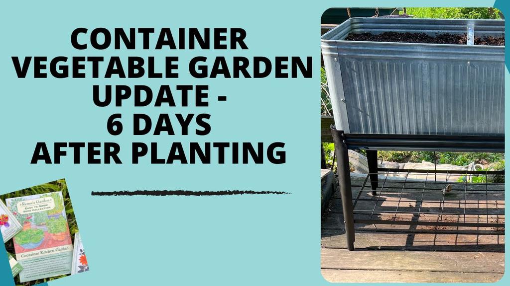 'Video thumbnail for Container Vegetable Garden Update - 6 Days After Planting'
