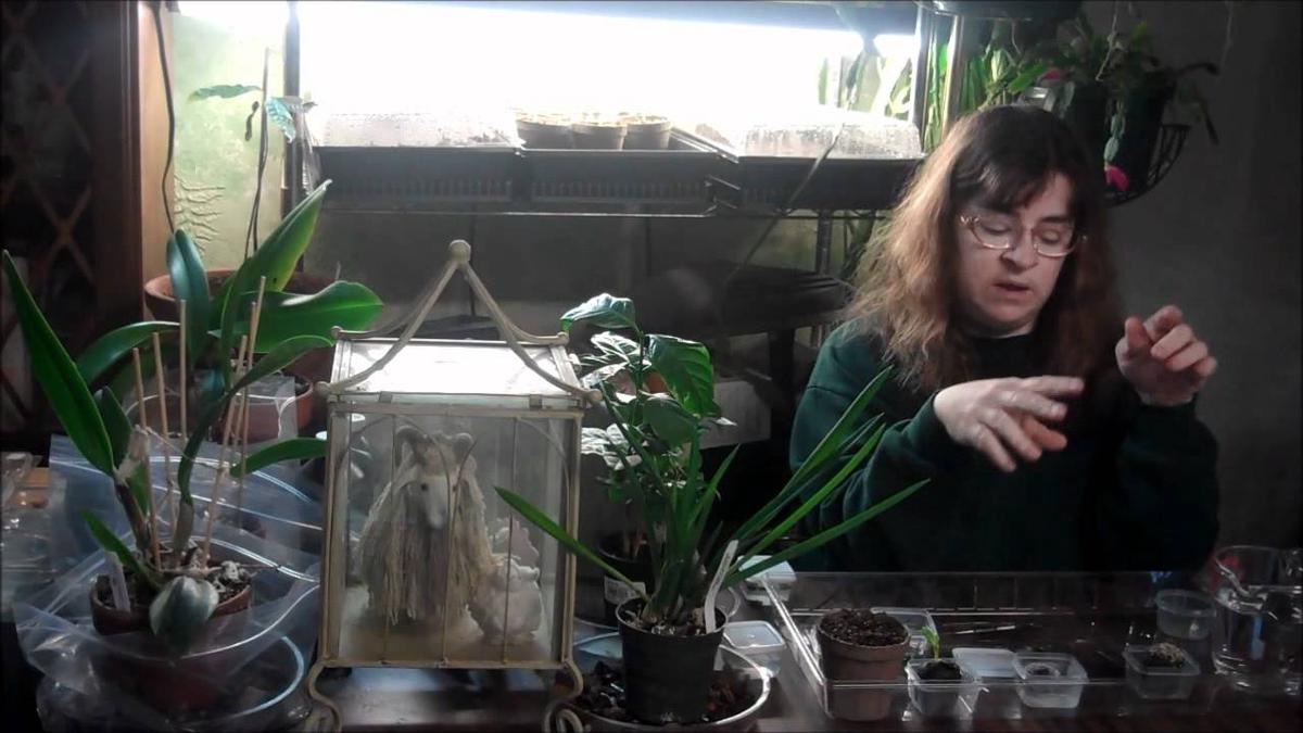 'Video thumbnail for Starting From Seed - #vlomo11 - Day 27'