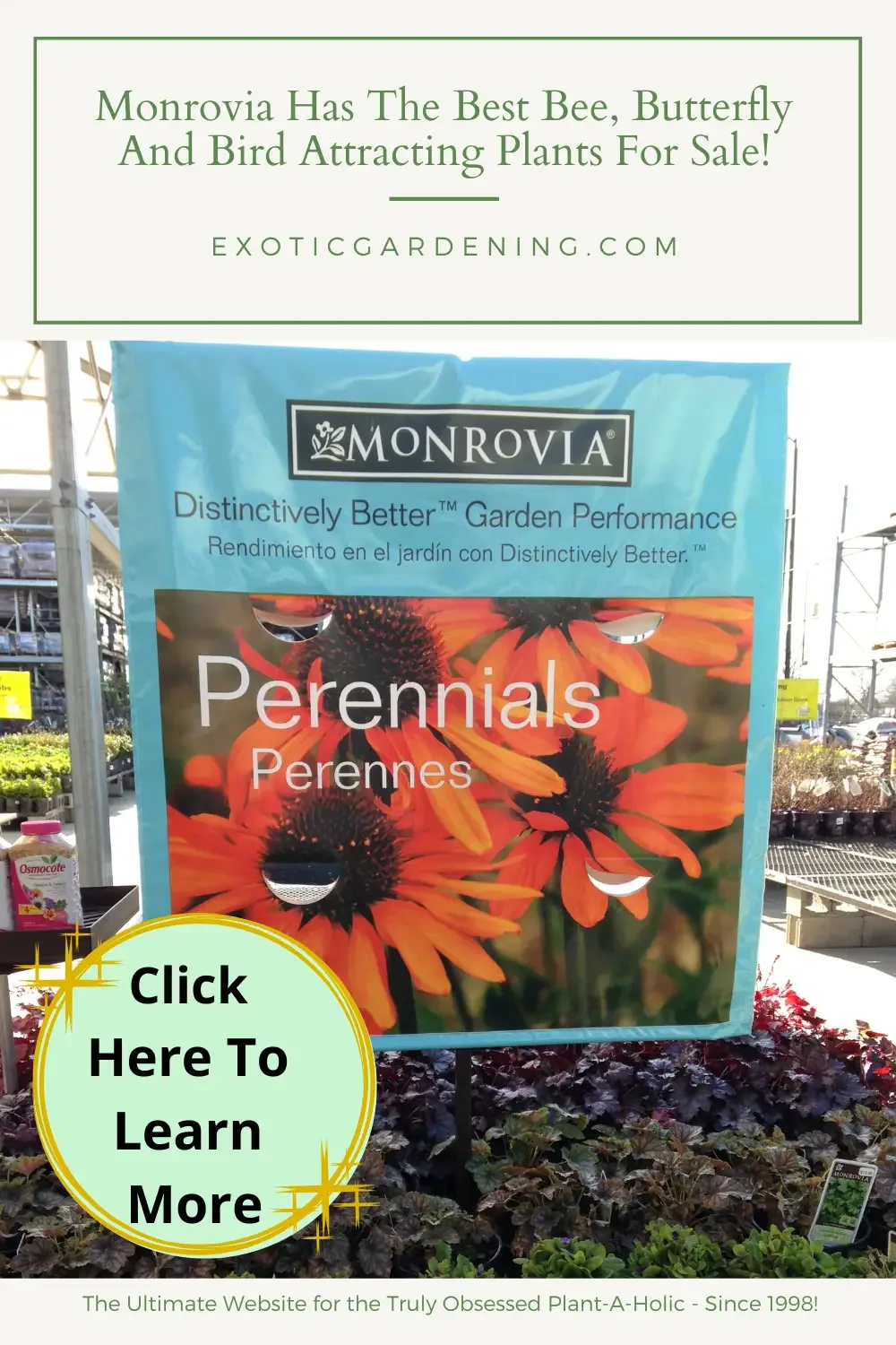 The Monrovia perennial display banner along with some perennial plants at Lowes.