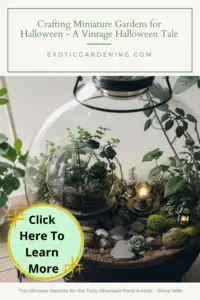 A Terrarium filled with plants.