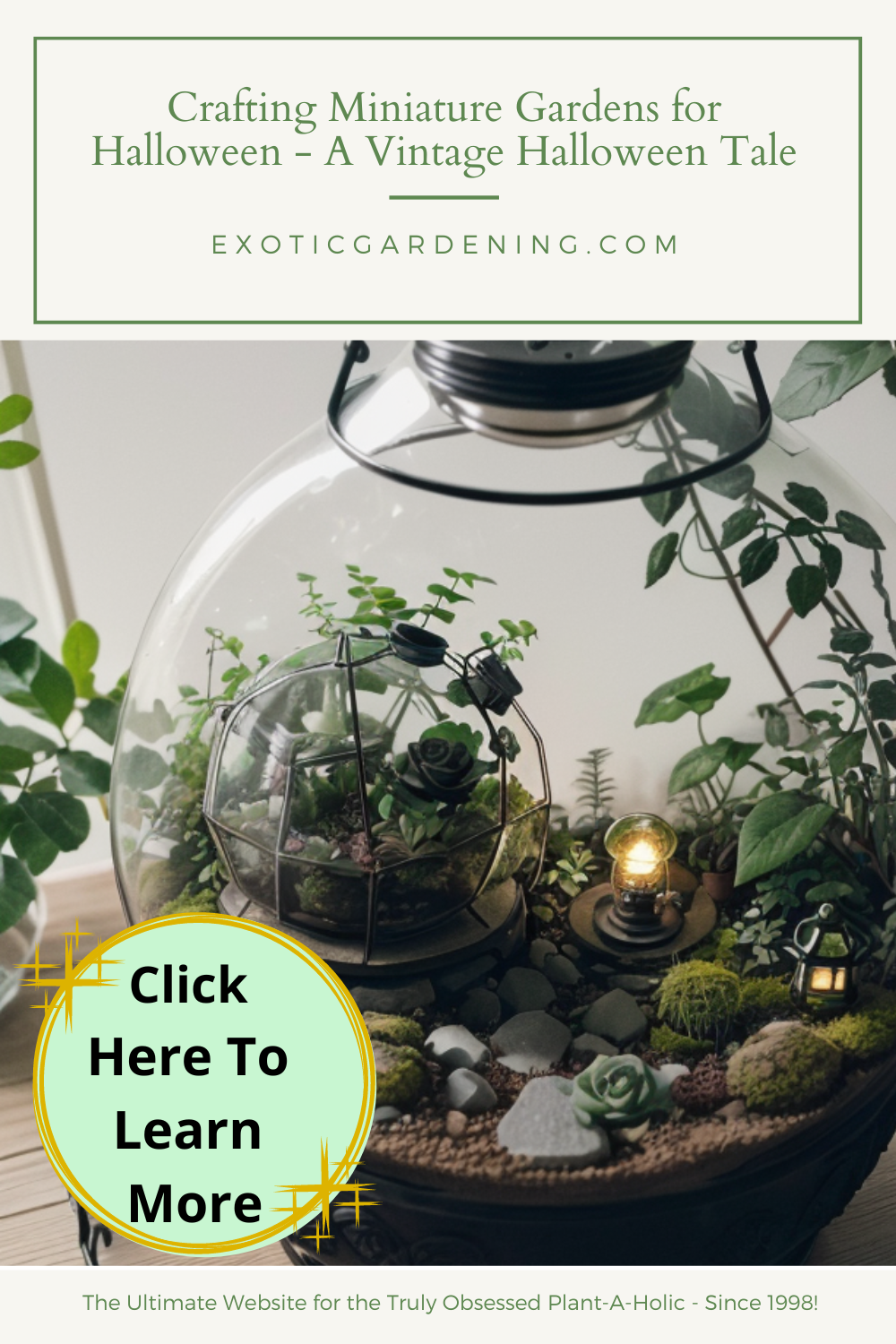 A Terrarium filled with plants.