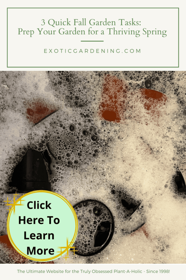 3 Quick Fall Garden Tasks: Prep Your Garden for a Thriving Spring ...