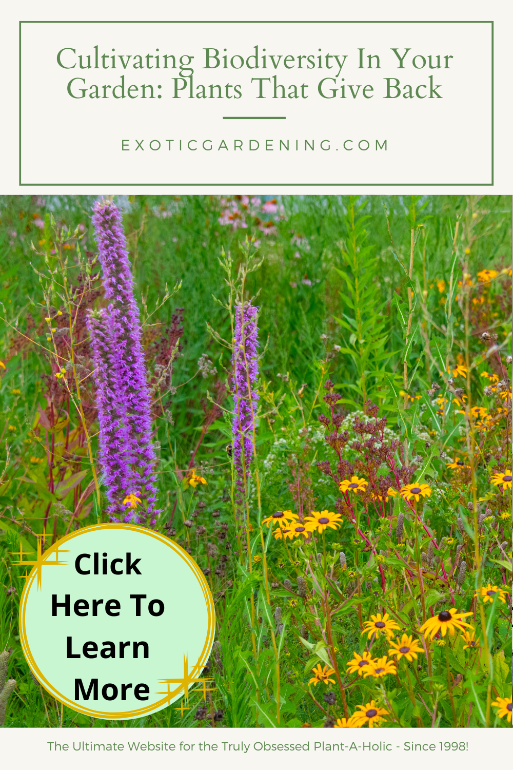 A biodiverse garden with a variety of flowering plants.