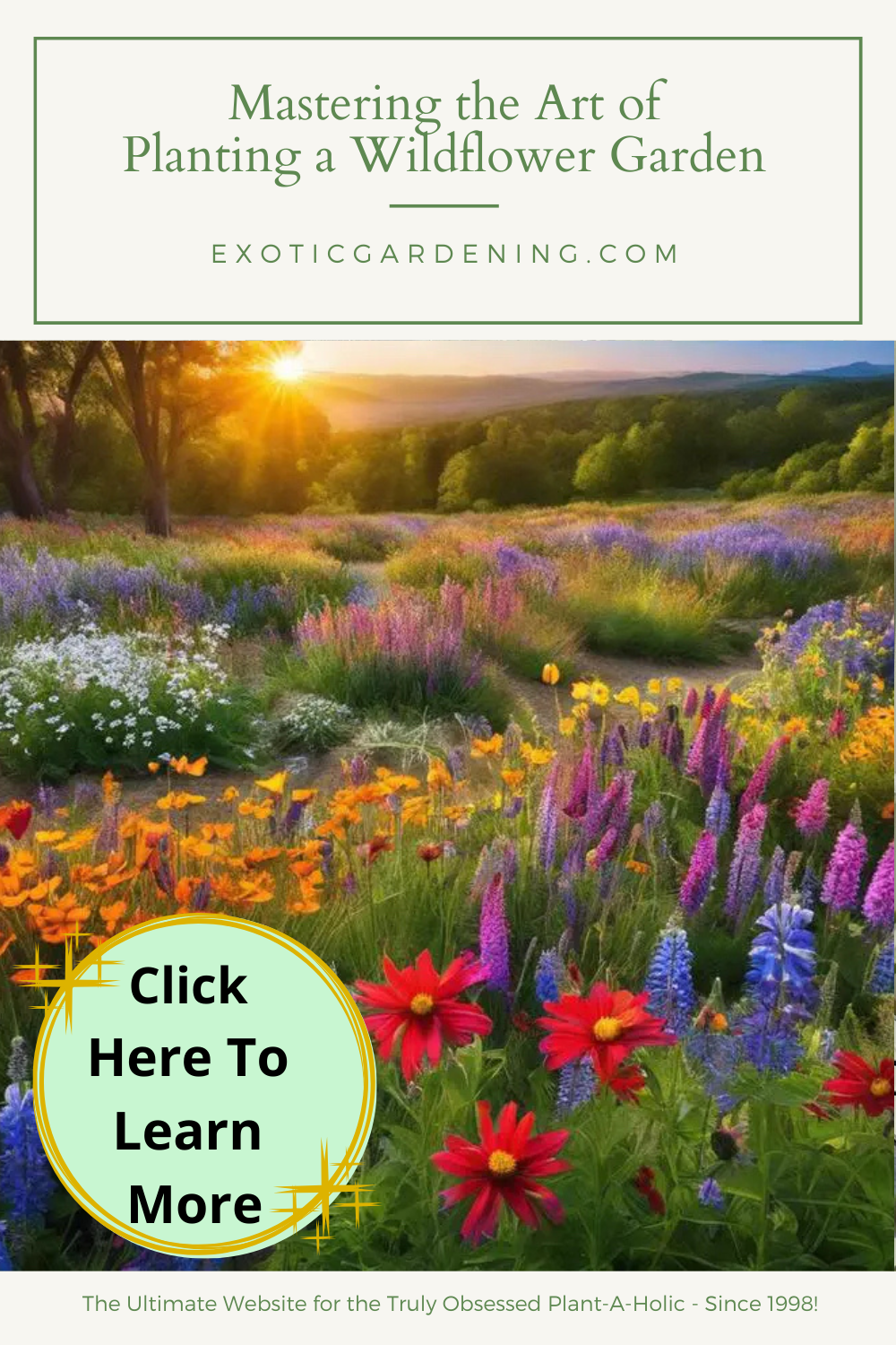 An array of wildflowers in bloom in a garden.