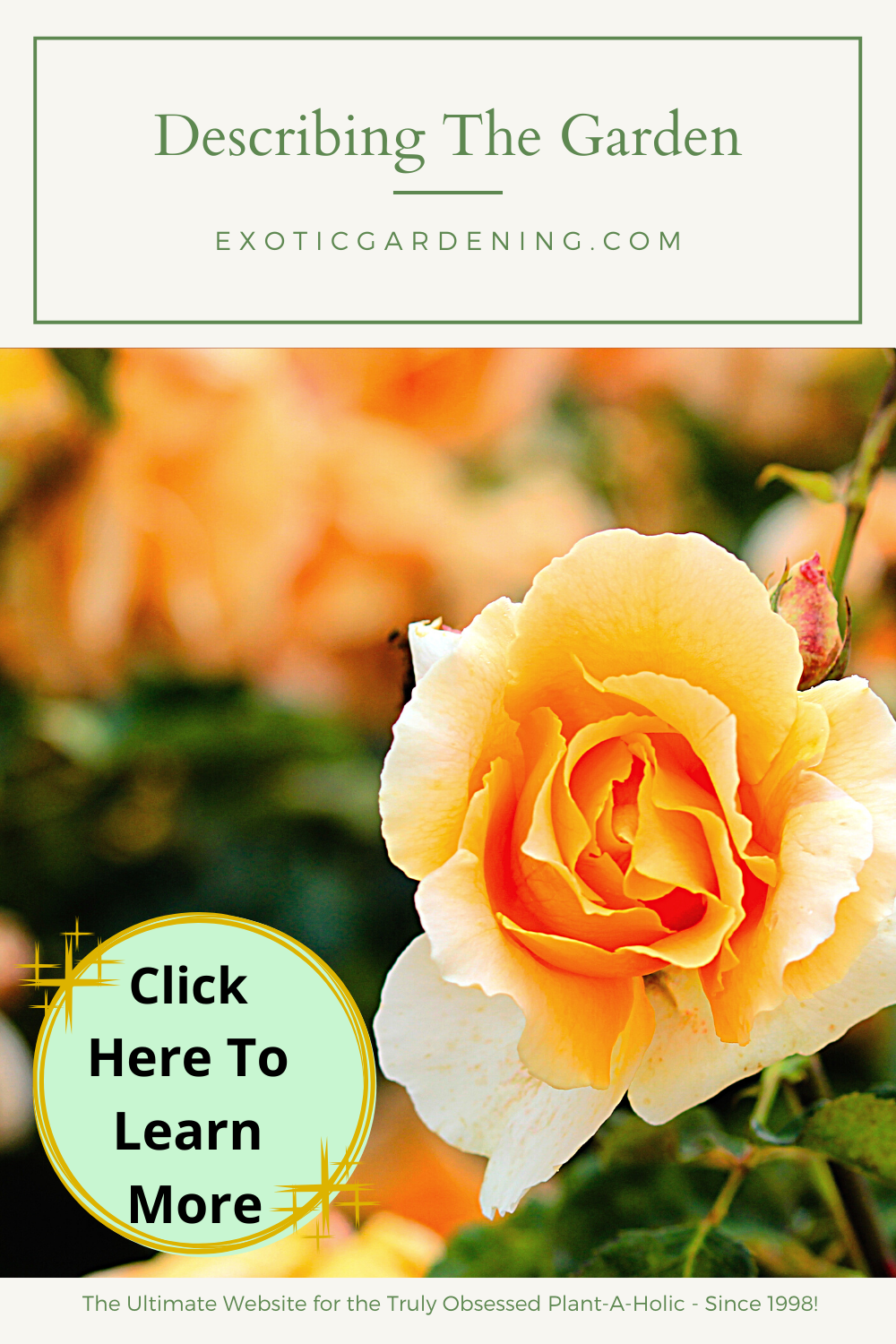 Describing The Garden Exotic Gardening