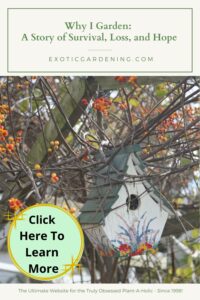 A rustic birdhouse among red and orange berries in Sheri Ann Richerson’s garden, symbolizing life, shelter, and the passage of seasons.