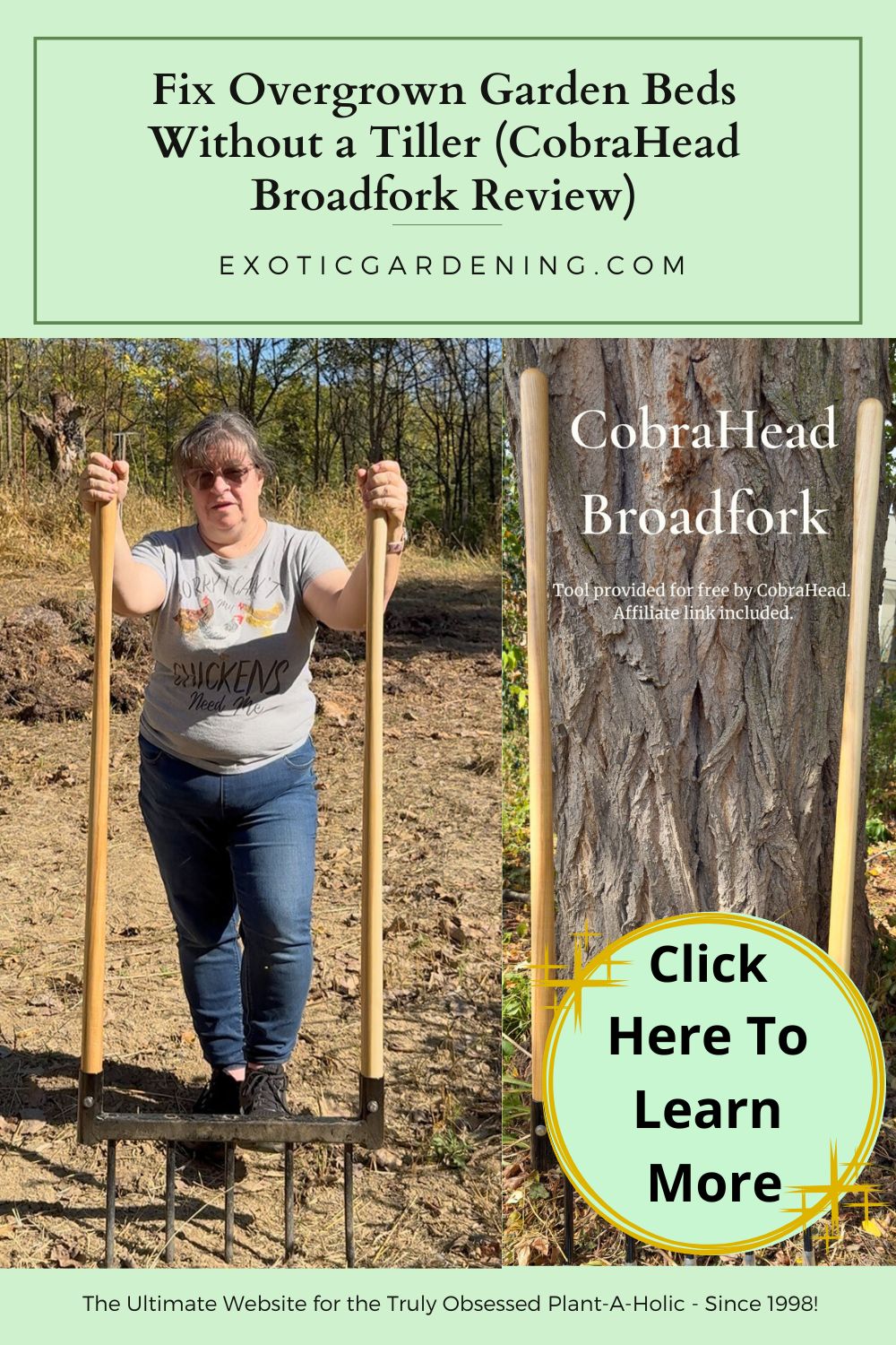 Sheri Ann Richerson using the CobraHead Broadfork in her Indiana garden to loosen compacted clay soil naturally without a tiller.