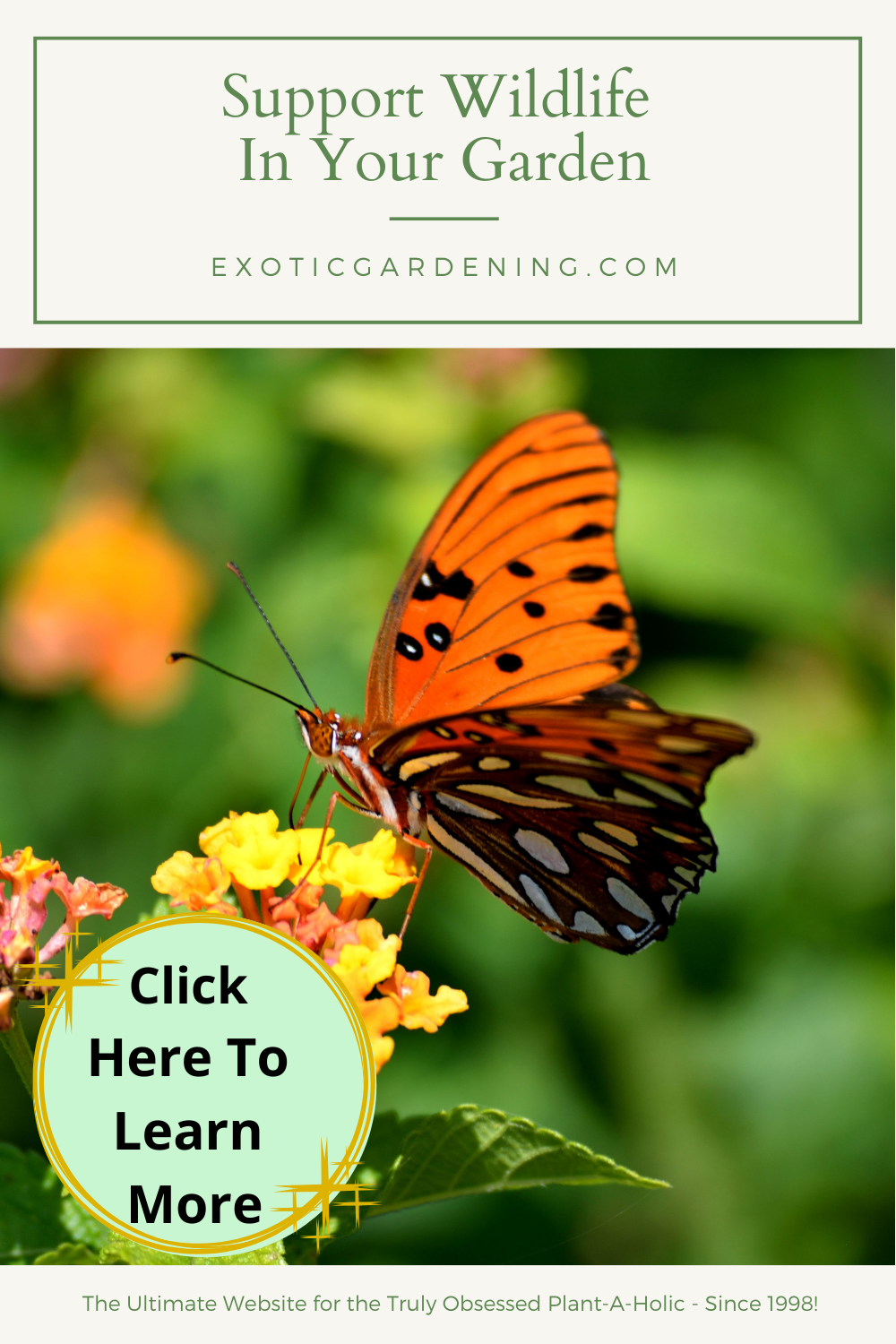 Support Wildlife In Your Garden - Exotic Gardening
