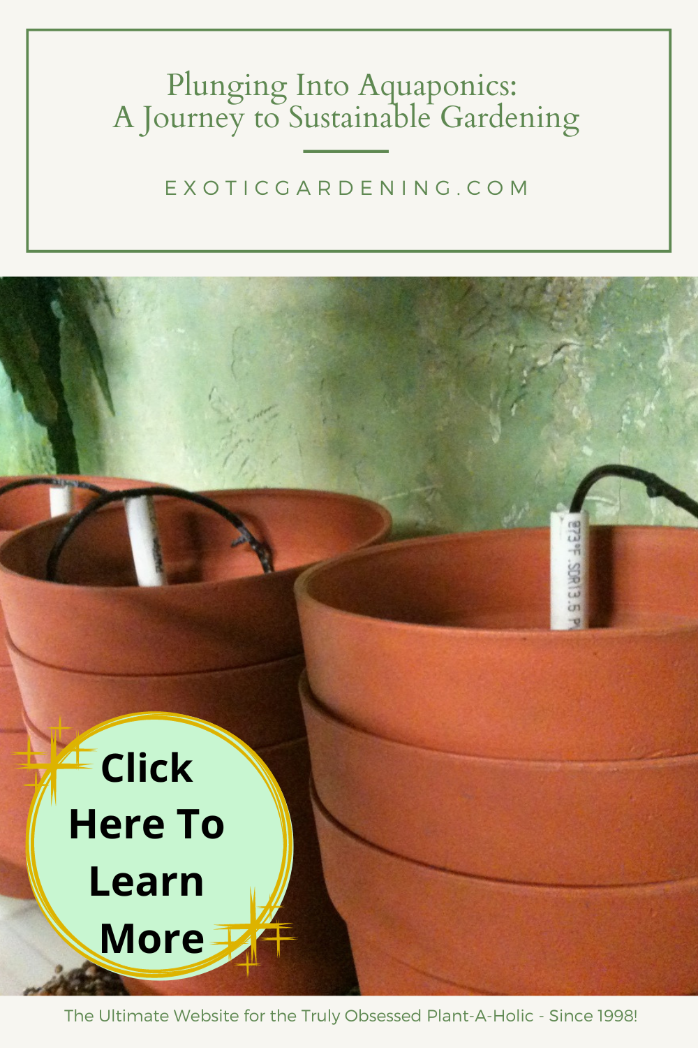 An image of the hydroponic pots and the plumbing used to create the aquaponic setup.