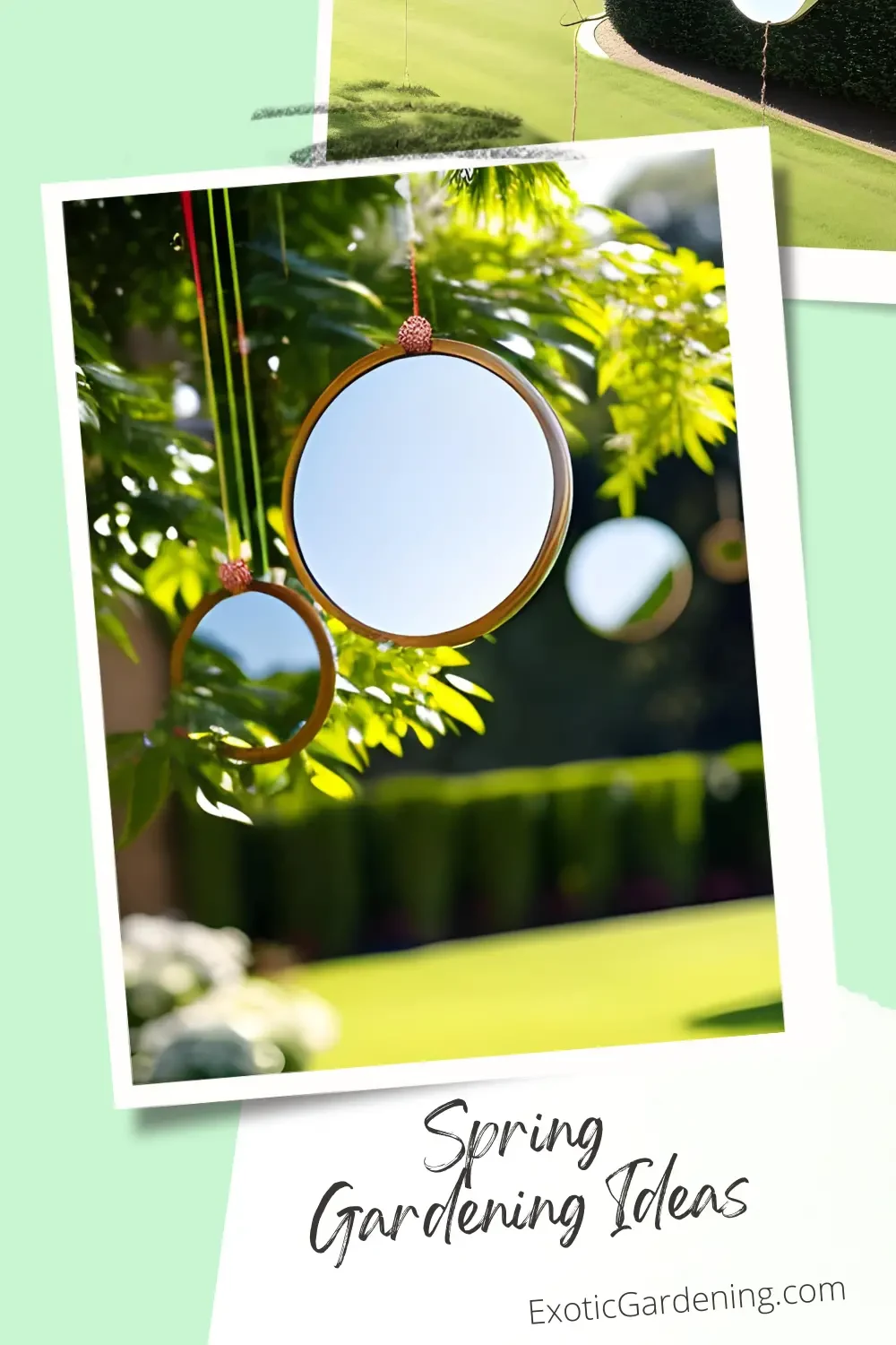 Mirrors hanging from a tree.