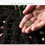 A hand holding carrot seeds they are about to plant in the soil below.