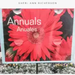 The annuals display banner and plants from Monrovia at Lowes.