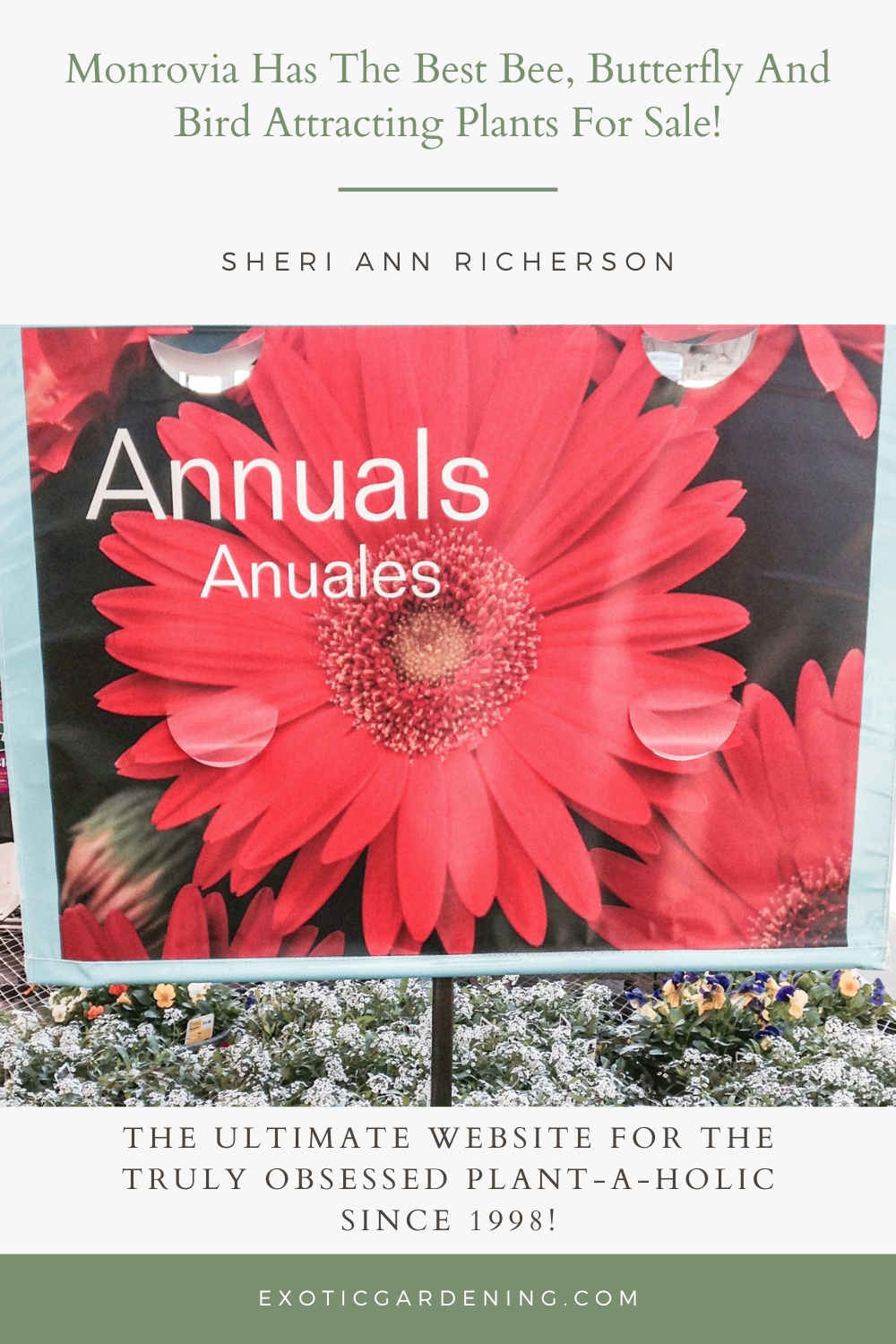 The annuals display banner and plants from Monrovia at Lowes.