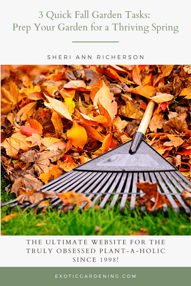 3 Quick Fall Garden Tasks: Prep Your Garden for a Thriving Spring ...