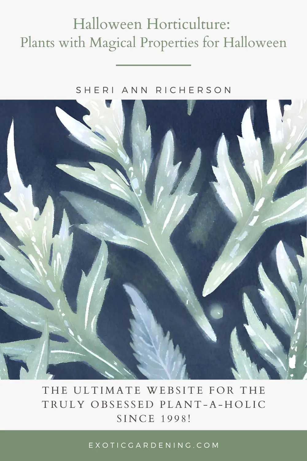 Mugwort Leaves in Moonlight: A close-up of silvery-green mugwort leaves, bathed in the gentle glow of moonlight, showcasing their ethereal quality.