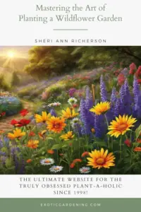 An array of wildflowers in bloom in a garden.