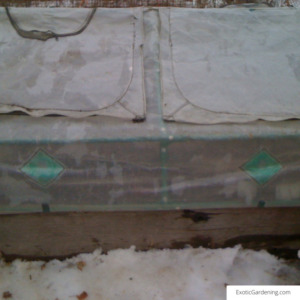 A cold frame in the snow.