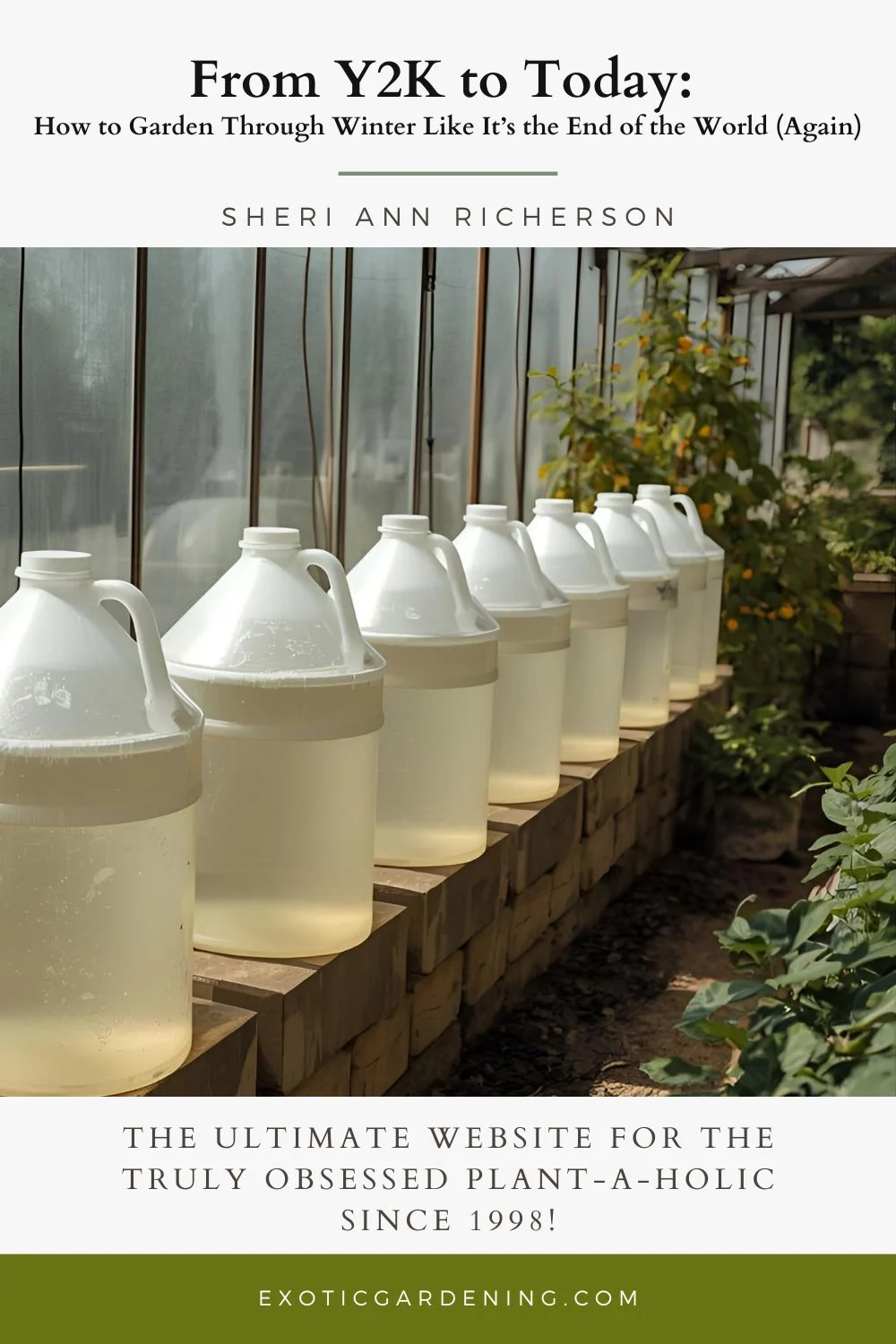 Row of large water jugs lined up inside a greenhouse, absorbing sunlight to store heat for nighttime warmth.