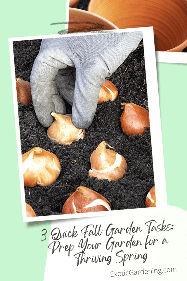 3 Quick Fall Garden Tasks: Prep Your Garden for a Thriving Spring ...