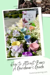 The Vision Bee Cups nestled among some pansies.