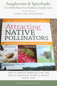 Cover of “Attracting Native Pollinators” book featuring bees and butterflies.