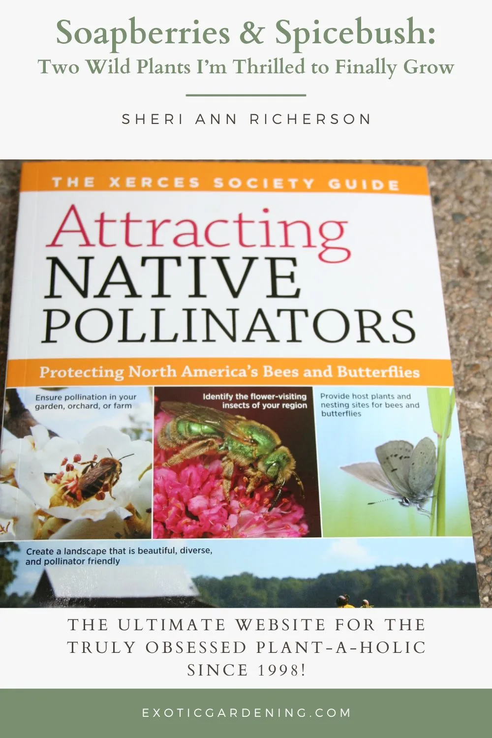 Cover of “Attracting Native Pollinators” book featuring bees and butterflies.