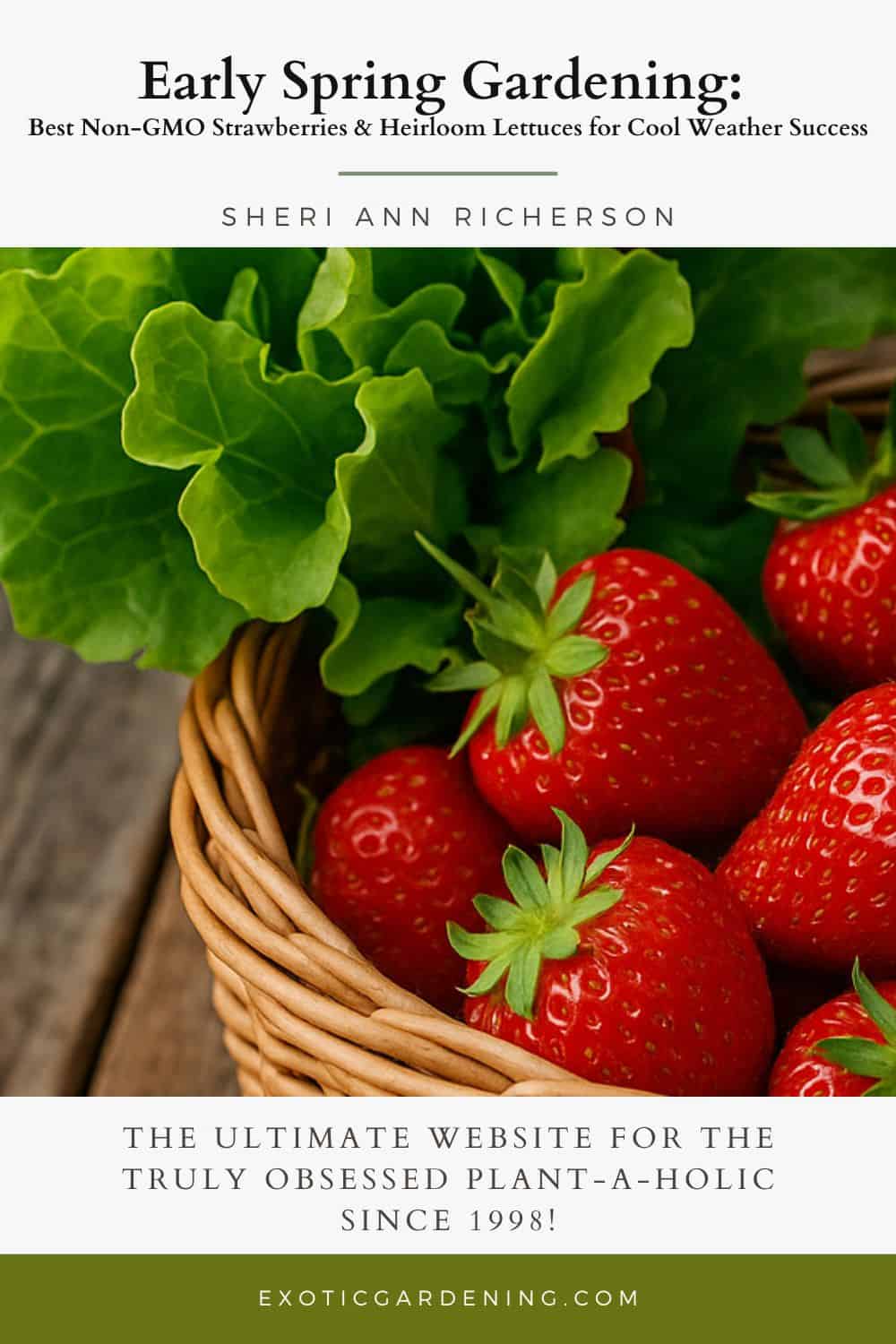 Close-up of a rustic wicker basket holding bright strawberries and leafy green lettuce on a weathered wooden surface.