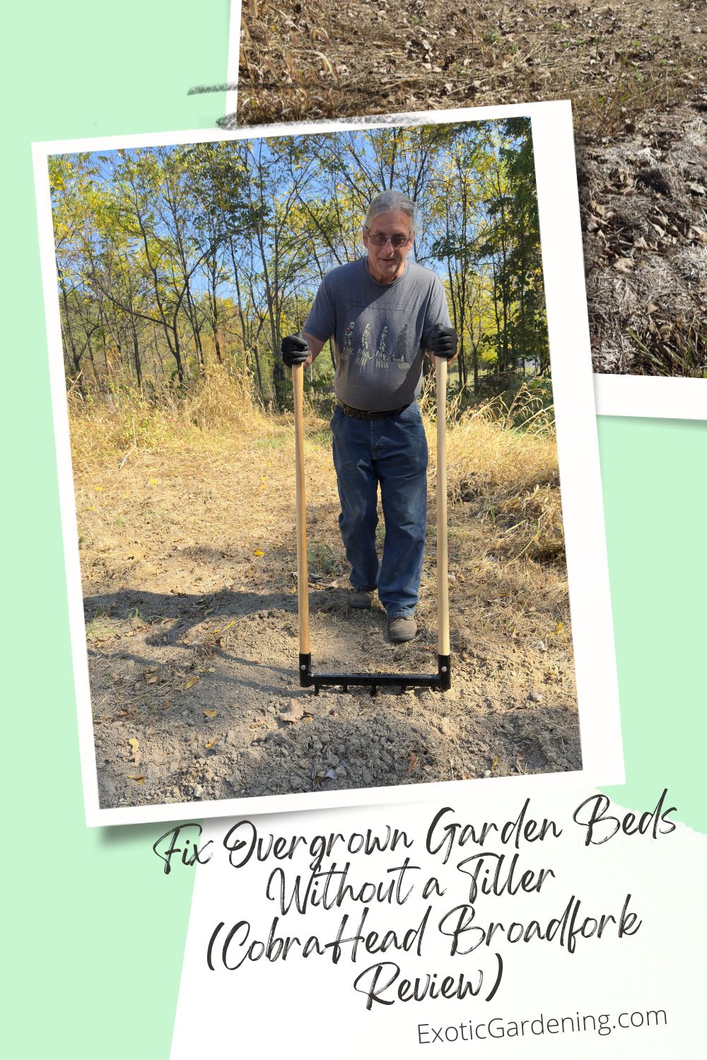 Jeffrey Rhoades demonstrating how to use the CobraHead Broadfork to open up dry, compacted garden soil during drought conditions.