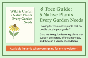 Promotional graphic for free PDF guide titled "Wild & Useful: 5 Native Plants Every Garden Needs," featuring a coneflower illustration and call-to-action to sign up for a newsletter.
