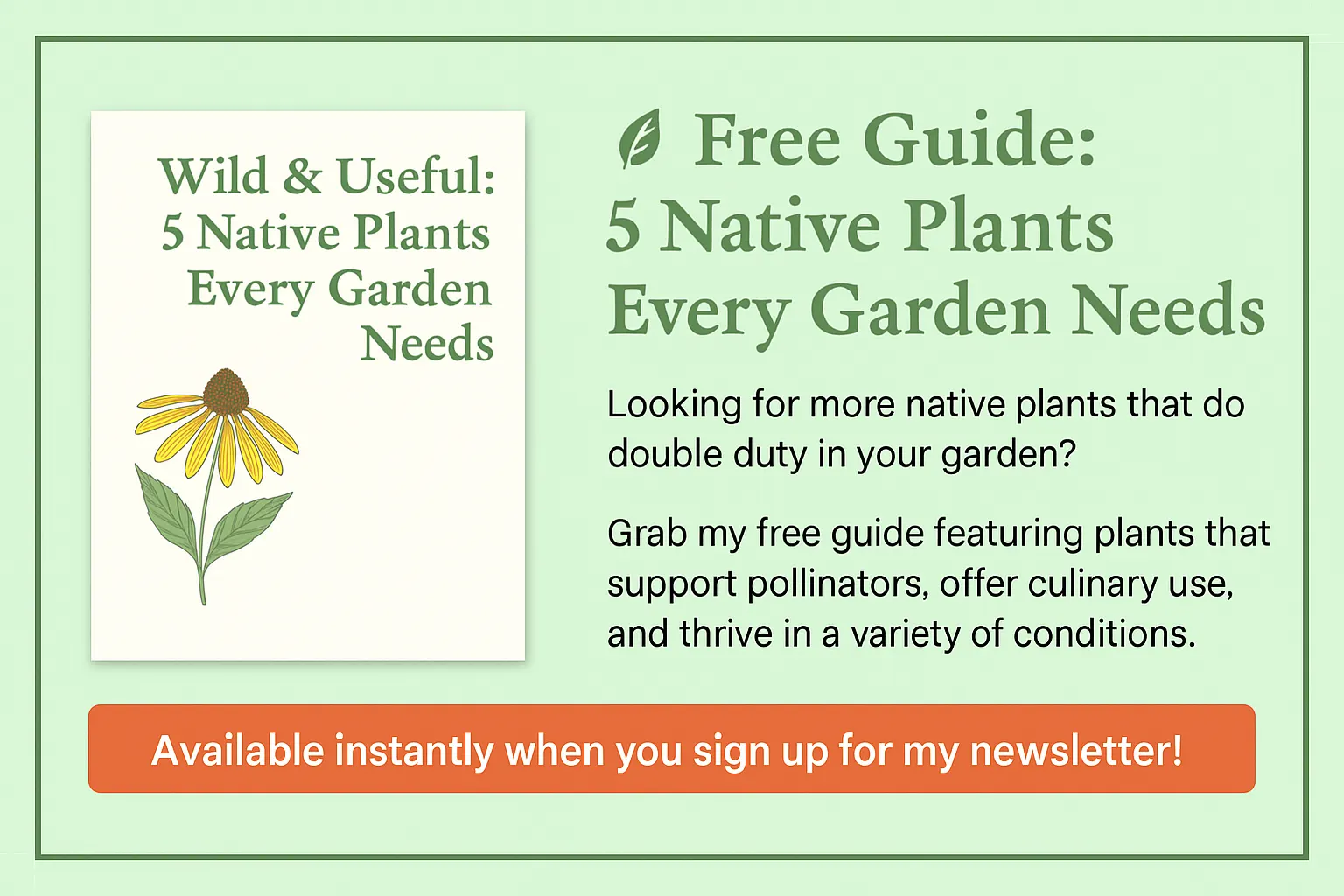 Promotional graphic for free PDF guide titled "Wild & Useful: 5 Native Plants Every Garden Needs," featuring a coneflower illustration and call-to-action to sign up for a newsletter.