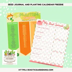 Seed Journal And Planting Calendar Freebie