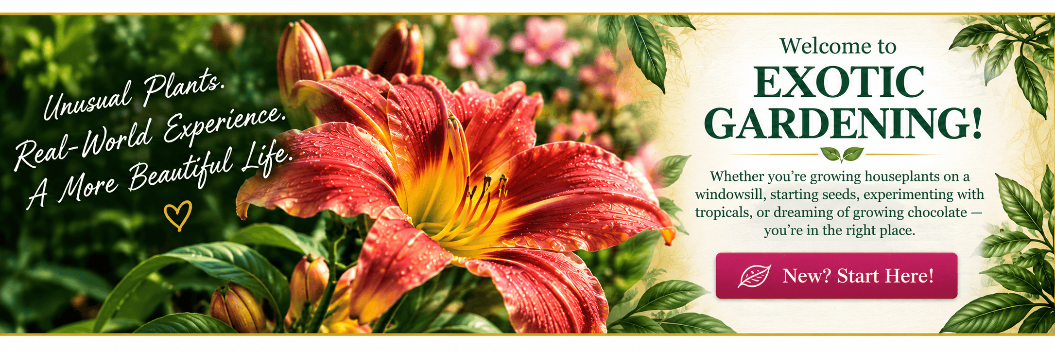Welcome to Exotic Gardening — unusual plants, real-world experience and a more beautiful life.