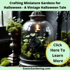 A terrarium filled with plants