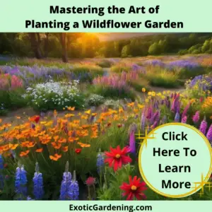 An array of wildflowers in bloom in a garden.