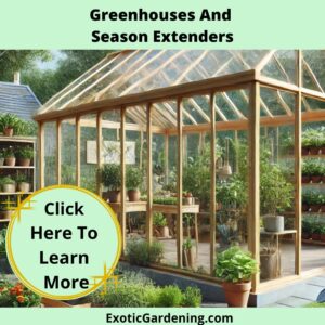 A modern and spacious backyard greenhouse with glass panels and a wooden frame, surrounded by a lush garden. Inside are rows of potted plants, including herbs and vegetables, growing under natural light. The serene setting includes flower beds, a vegetable patch, and garden tools nearby.