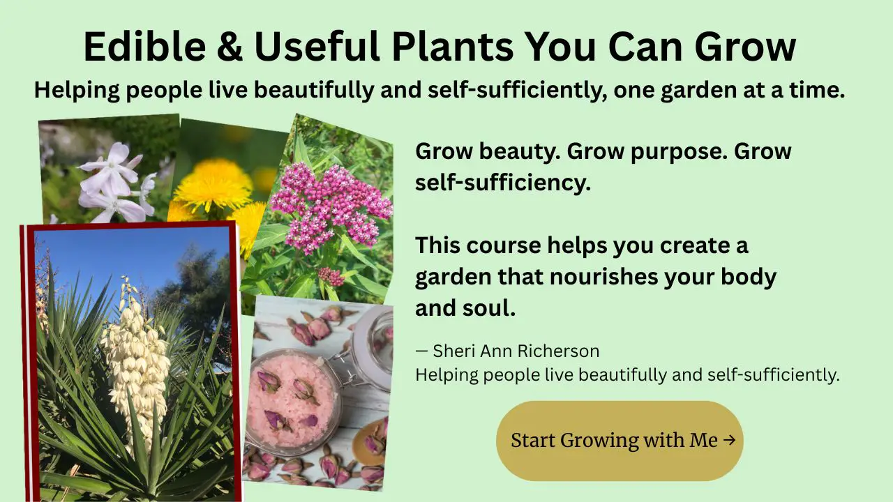 Edible & Useful Plants You Can Grow online course by Sheri Ann Richerson – Learn to grow beauty, purpose, and self-sufficiency in your garden.
