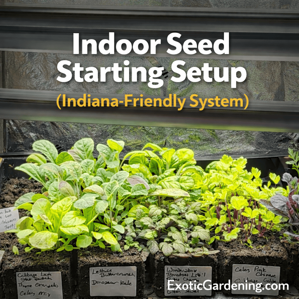 Indoor seed starting setup with soil blocks and leafy seedlings under grow lights in Indiana garden system