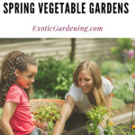 A woman and a child planting a garden.