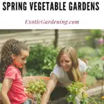 A woman and a child planting a garden.