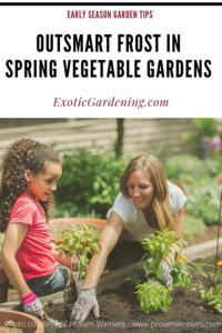 A woman and a child planting a garden.