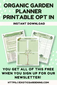 organic garden planner freebie