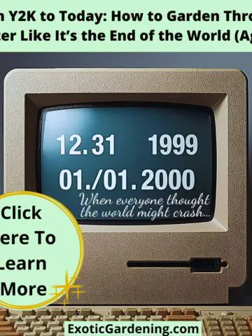 Retro computer showing “12.31.1999 → 01.01.2000” with caption “When everyone thought the world might crash.”