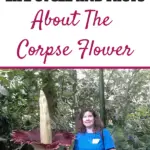 Sheri Ann Richerson standing beside the Amorphophallus titanium in bloom at Olbrich Botanical Gardens in Madison, Wisconsin.