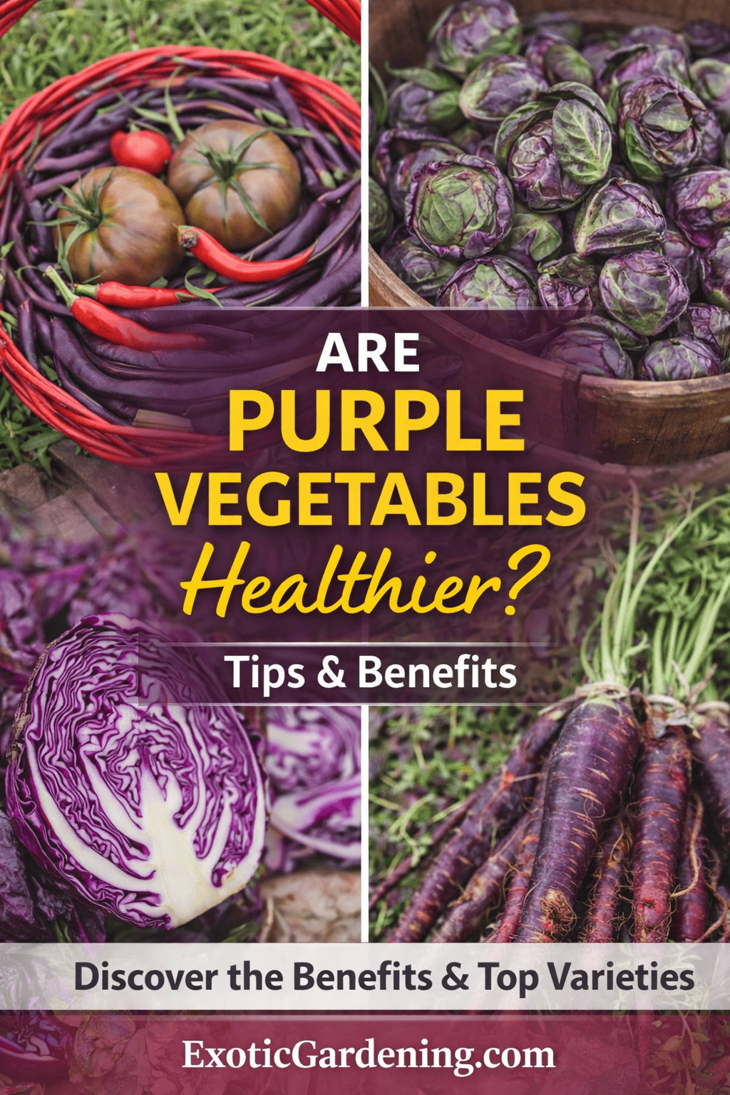 Pinterest graphic asking “Are Purple Vegetables Healthier?” featuring purple beans, purple carrots, red cabbage, and heirloom tomatoes.