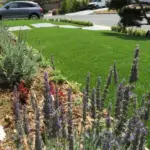 A garden with artificial grass on it.