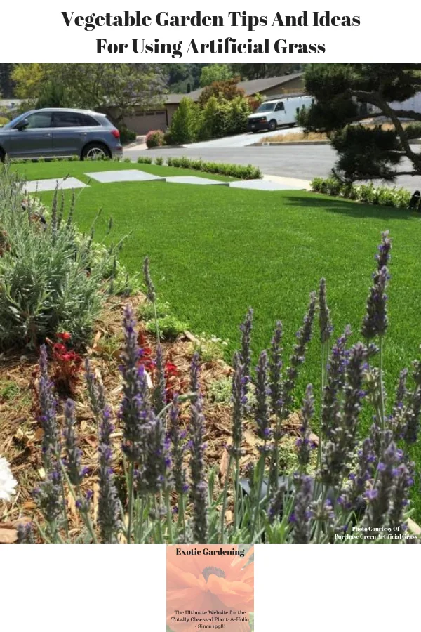 A garden with artificial grass on it.