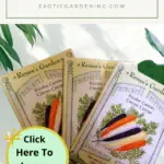 The seed packets showing Circus Carrots from Renee's Garden.